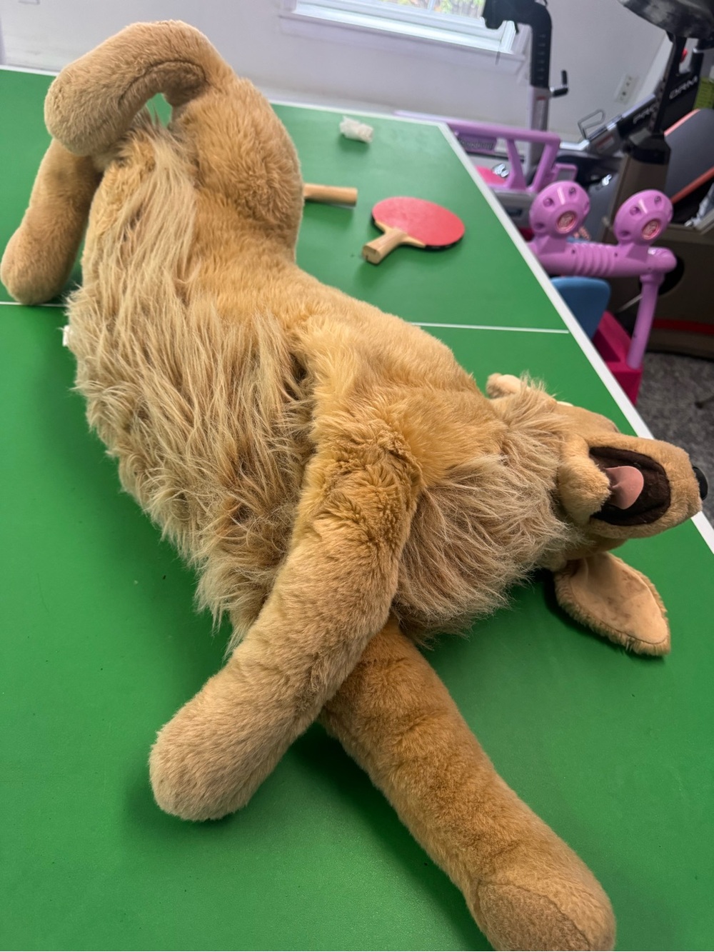 RARE Douglas Jumbo Golden retriever stuffed dog